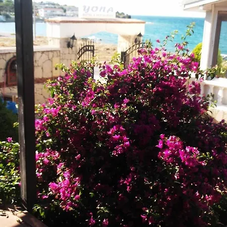 Yona * Çeşme